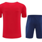 P S G 25/26 Training Shorts Set 3