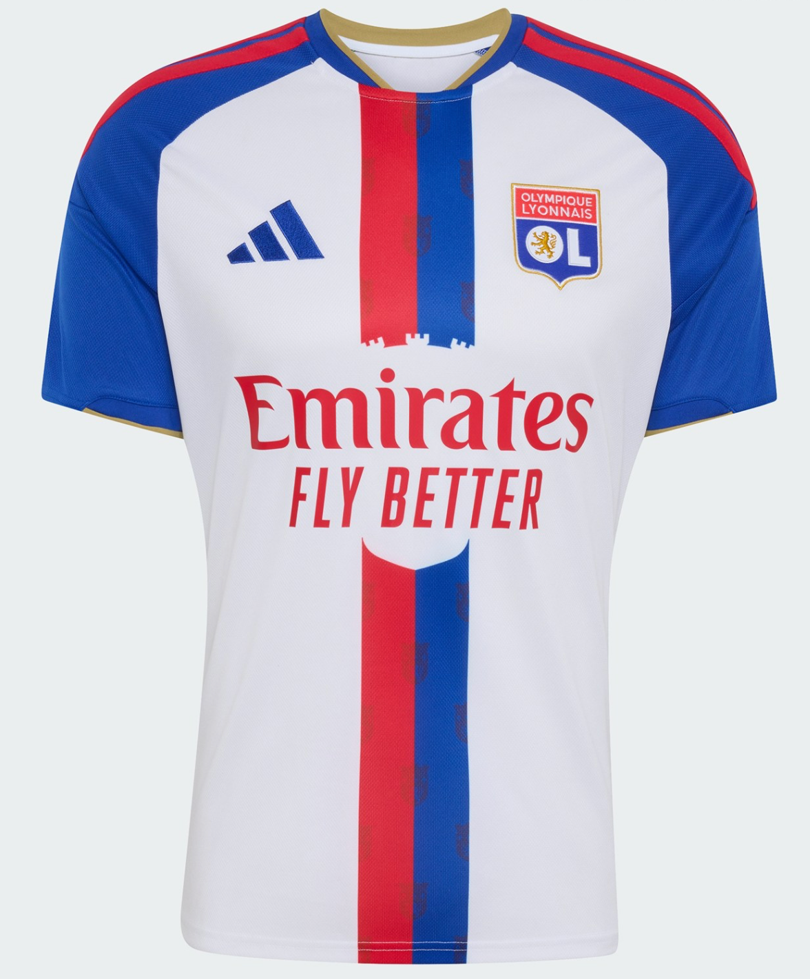 Lyon Home 26/27 Standard Kit