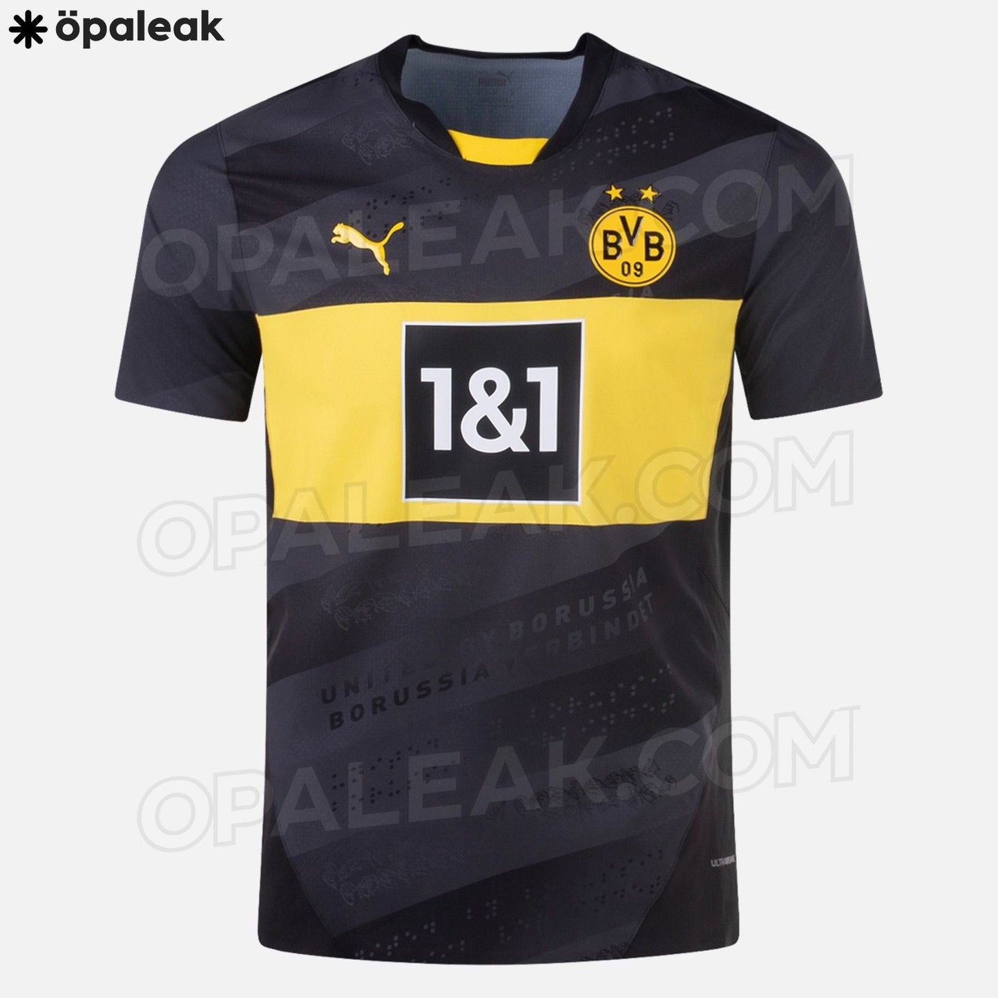 Borussia Dmund. Away 24/25 Standard Kit