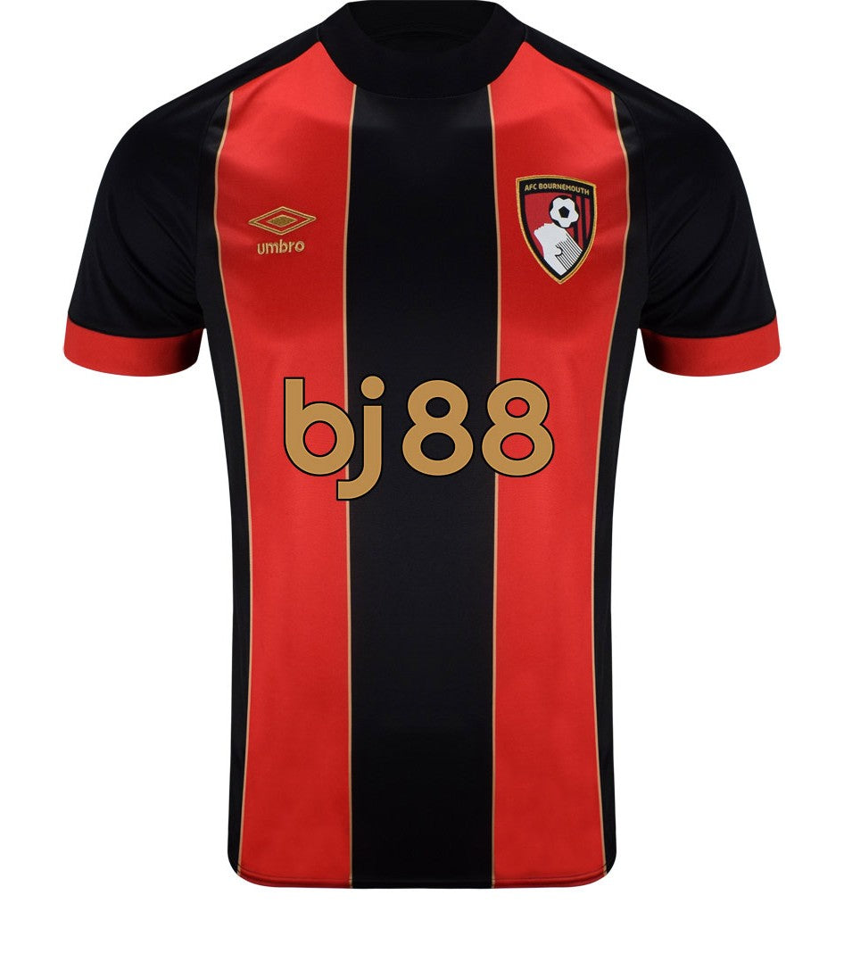 Bournemouth Home 24/25 Standard Kit