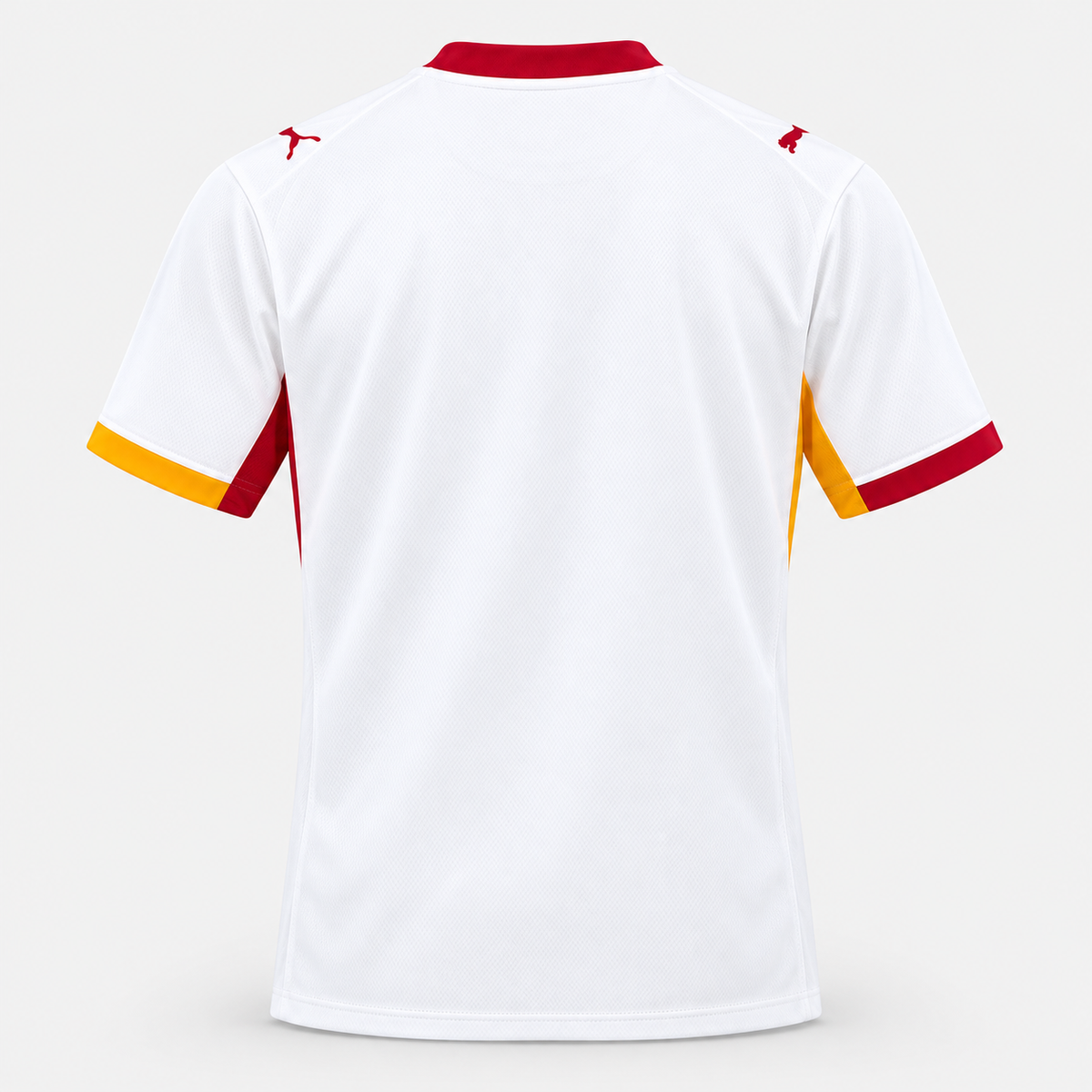 Galatasaray Away 26/27 Standard Kit – back