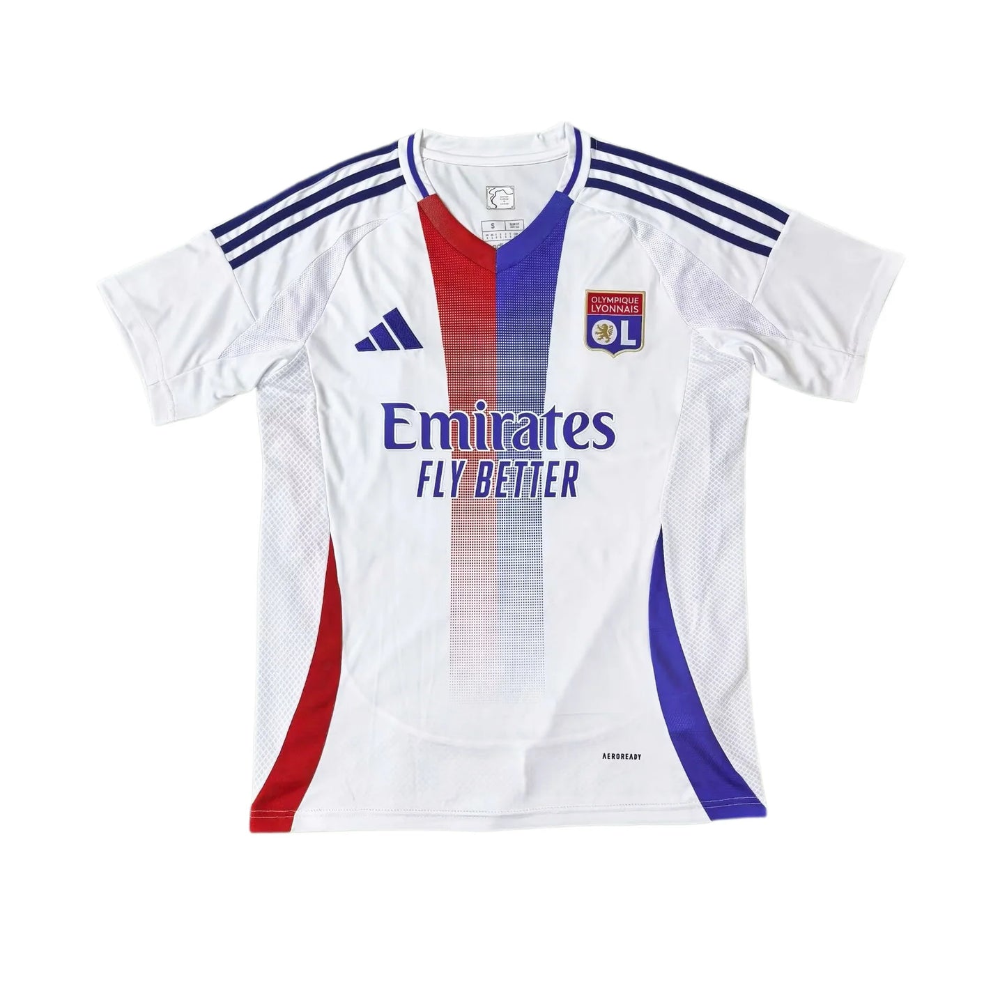 Lyon Home 24/25 Standard Kit