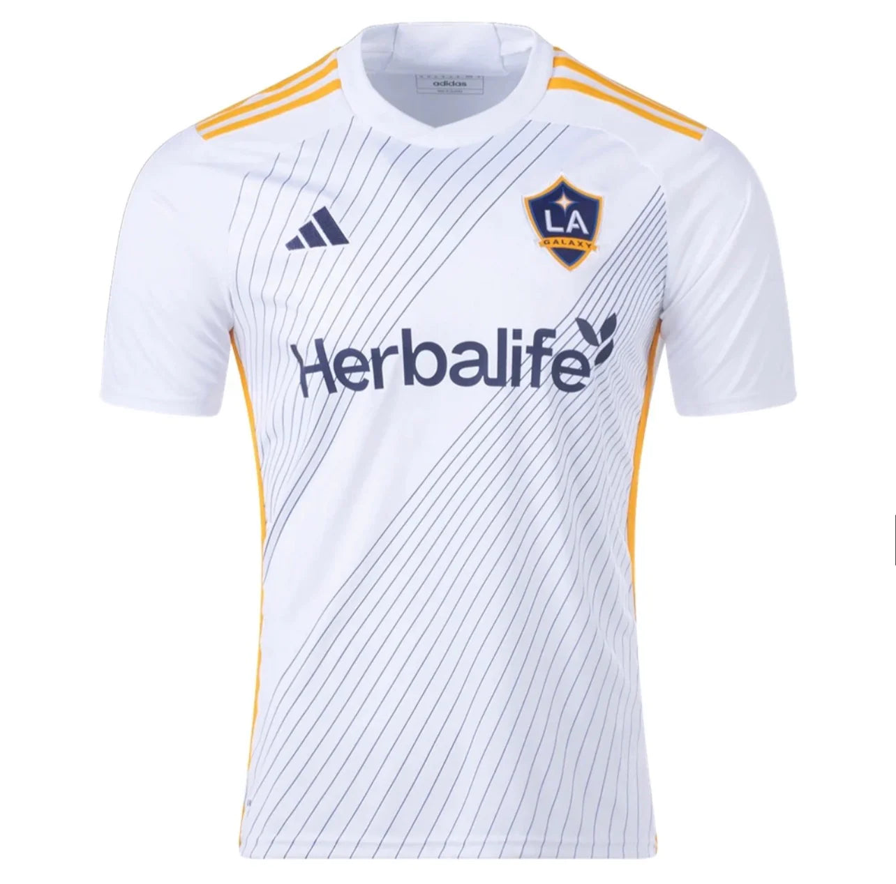 LA Galaxy Home 24/25 Standard Issue Kit